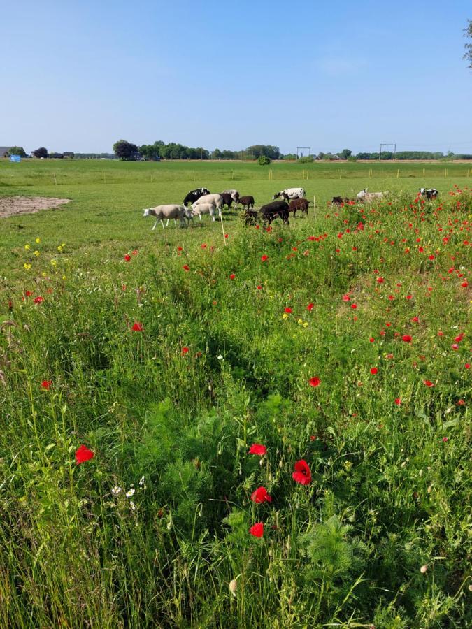 Boerderijkamer De Hooizolder Wijhe Bagian luar foto
